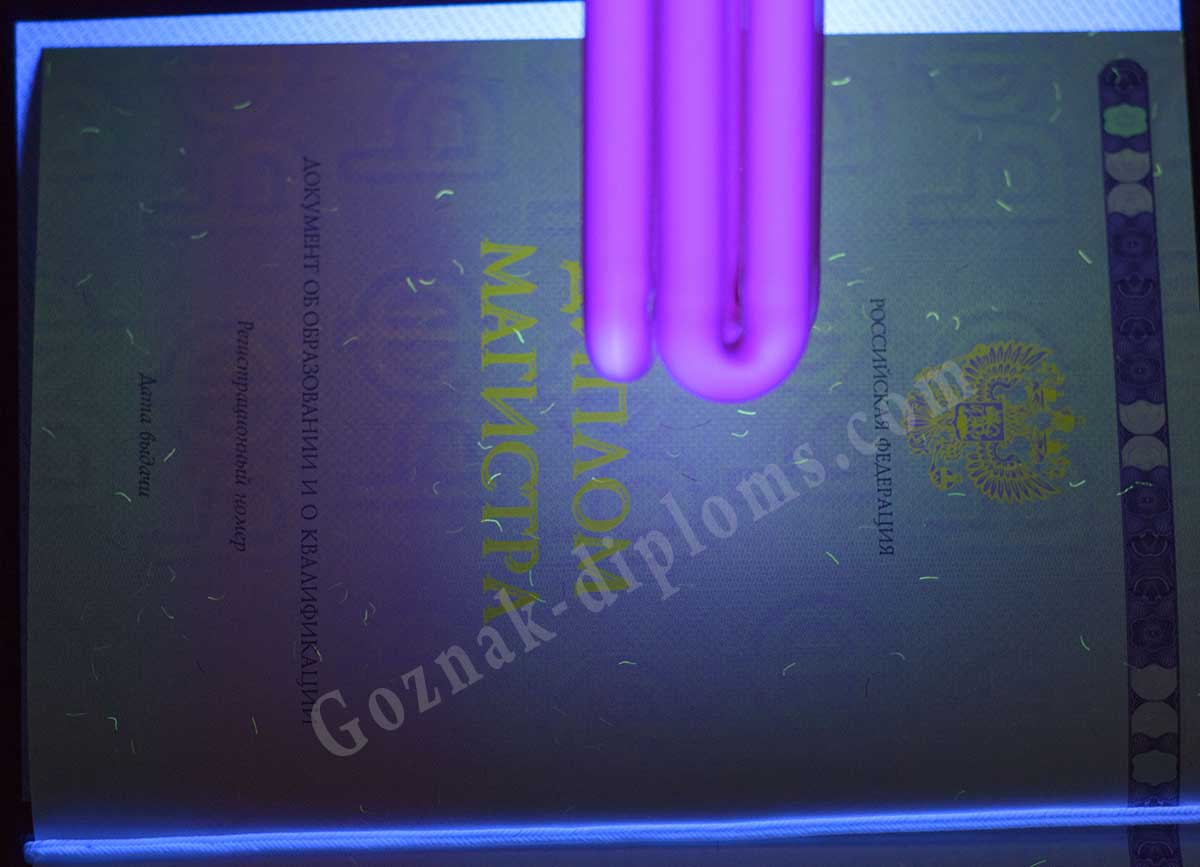 Диплом магистра 2014-2026